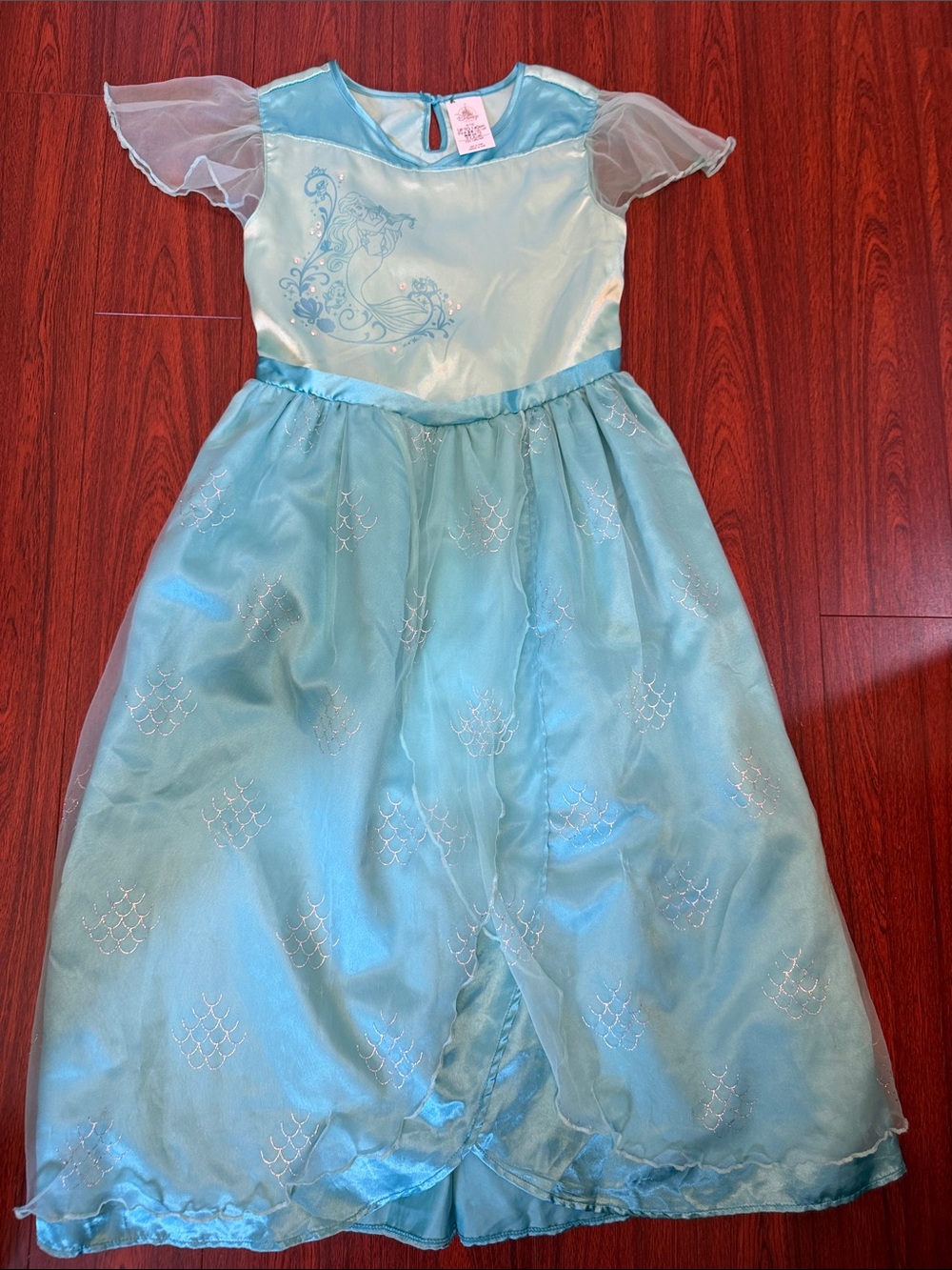Disney Light Blue Princess Dress with Sheer Puff Sleeves